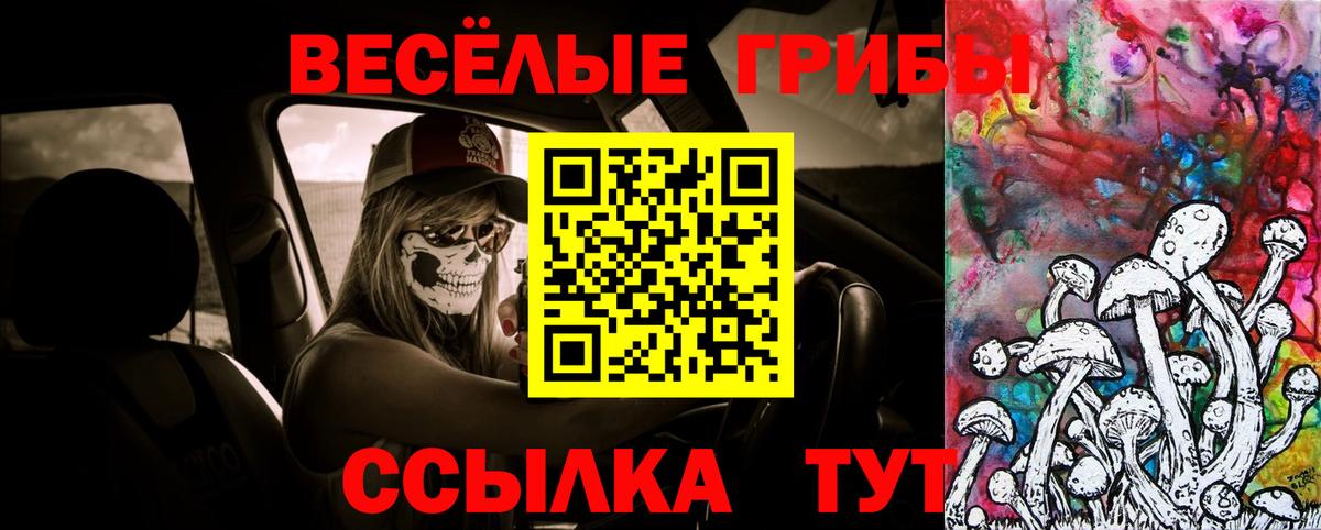 продажа наркотиков  Галлюциногенные грибы Psilocybe  Вход с VPN  Обь 